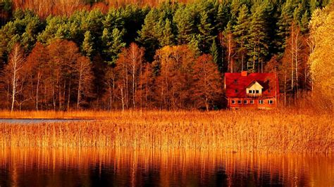 Beautiful Scenery Autumn Spring Trees Forest Wood House Reflection On