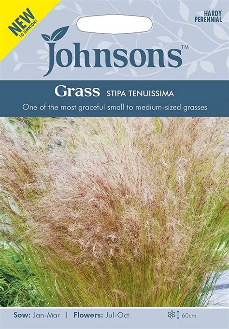 Johnsons Seeds Grass Stipa Tenuissima