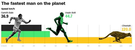 10 Usain Bolt Speed In Kmh Pictures All In Here