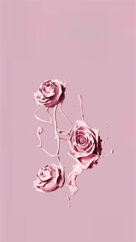 Vintage Aesthetic Pink Rose Wallpapers Wallpaper Cave