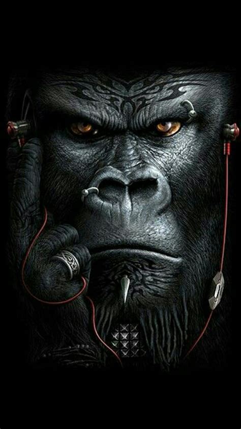 Gorilla Hd Wallpaper Pxfuel Hot Sex Picture