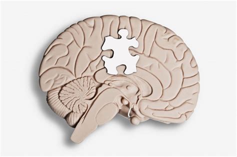 Puzzle Brain Manhattan Psychology Group