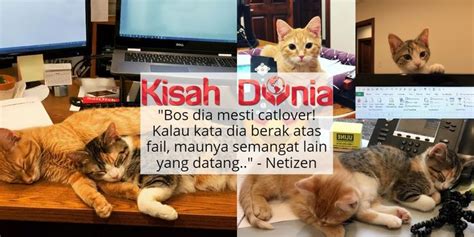 We did not find results for: Nak Naikkan Semangat Pekerja Punya Fasal, Syarikat Ini ...
