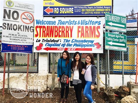 Strawberry Farm Baguio Travel Guide Lost And Wonder