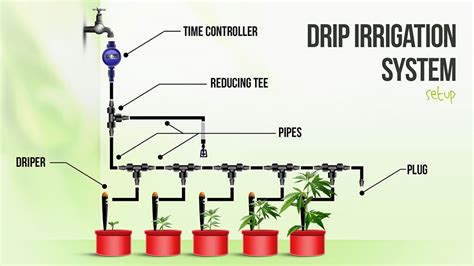 How To Make A Drip Irrigation System For Growing Cannabis