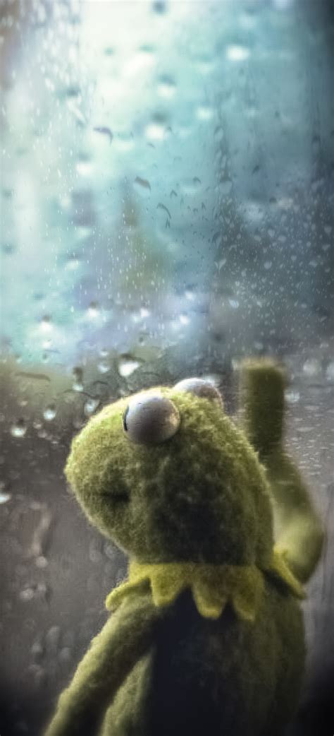 I Made The Window Meme Into A Mobile Wallpaper Rkermit