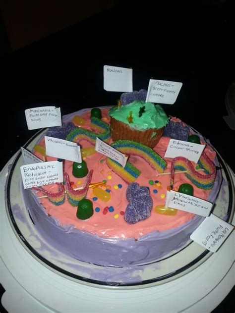 13 City Cell Project Cookie Cakes Photo Plant Cell