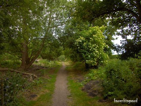 Karen S Nature Photography Landscape With Walking Path