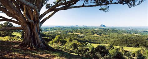 Think of all the starving millions. Les Glass House Mountains dans le Queensland - Australie