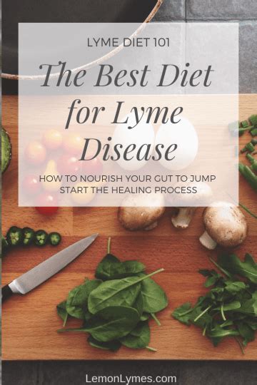 Lyme Diet 101 Lyme Disease Diet Diet Lyme