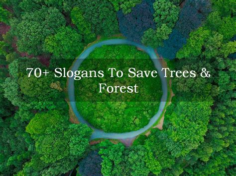 This is the meaning of tree plantation when it is taken as a a tree plantation can also be a noun. 70+ Slogans To Save Trees & Forest