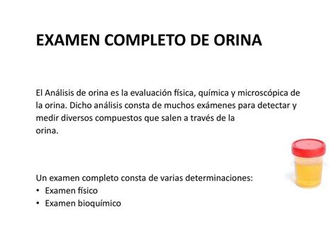 Examen Completo De Orina Sandra Udocz