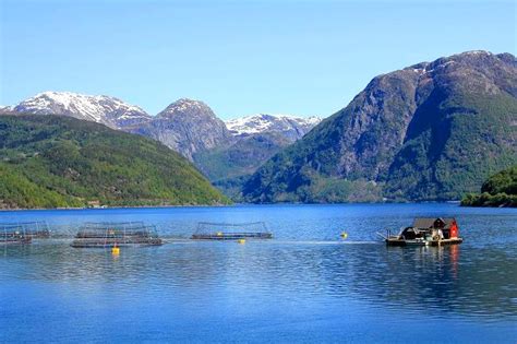 Ein haus oder eine ferienwohnung in norwegen kaufen. Ferienwohnung in Norwegen in traumhafter Fjordlandschaft