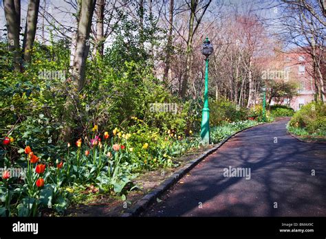 Spring Flowers Lining A Formal Driveway Stock Photo Alamy