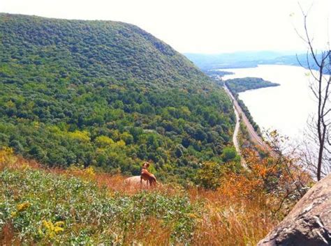 Hudson Highlands State Park Cold Spring All You Need To Know Before