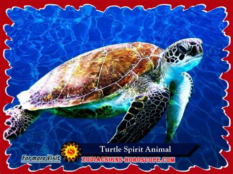 Turtle Spirit Animal Meaning Symbolism Dreams Of The