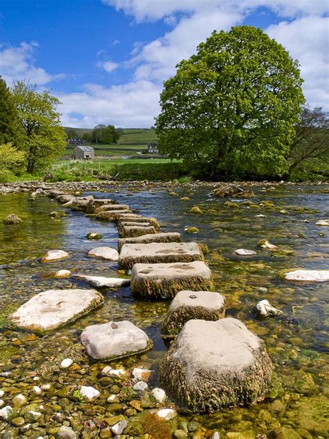 Stepping Stones Across The River Wharfe At Hebden Scenery English