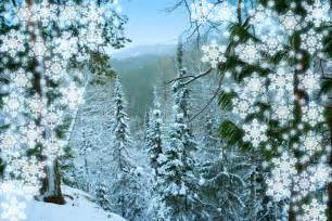 Siberia Winter Landscape Snow Hill And Tree Stock Image