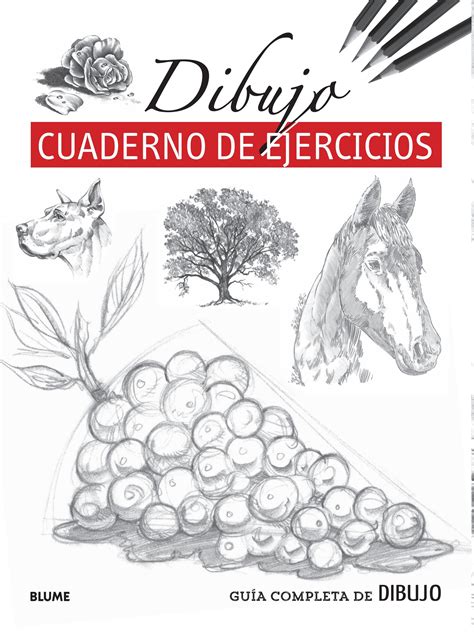 Guía Completa De Dibujo Dibujo Ejercicios By Editorial Blume Issuu