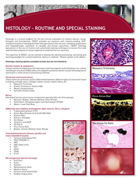 Histology Routine And Special Staining