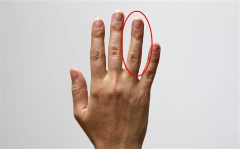 손가락으로 보는 건강 장 질환 정력 폐암이 보인다 네이버 블로그