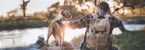 Inlet tower hotel and suites features rooms with microwaves and cable tvs. Dog-Friendly Hotel in Anchorage - Aspen Hotels