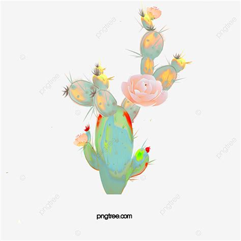 Gograph allows you to download affordable illustrations and eps vector clip art. Water Color Flower Cactus Plant, Water Clipart, Color ...