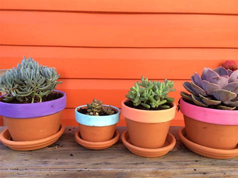 Painted Terracotta Pots With Succulents My Diy Painted Terra Cotta
