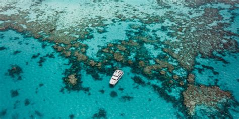 Great Barrier Reef — The Latch