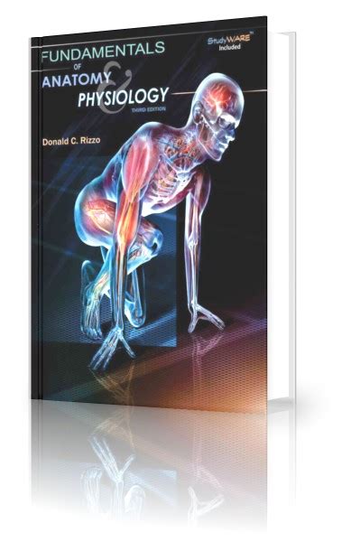 Surgery Made Easy Fundamentals Of Anatomy And Physiology 3rd Edition