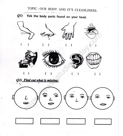 Cbse Class 1 Evs Our Body And Cleanliness Worksheet