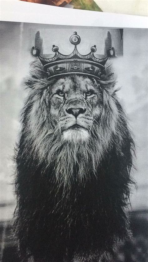 Pin By Mary Lockhart On Ink Pinterest Tattoo Lions
