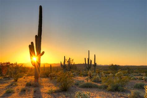 Jun 14, 2016 · desert plants have found a place in modern home and garden design. Climate Change and its Effect on Arizona | CC Sunscreens
