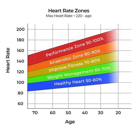 What Do The Heart Rate Values And Colors Mean On The Heart Rate