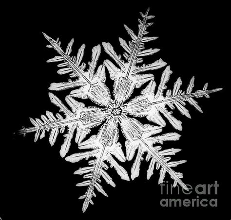 Snowflake By Science Source