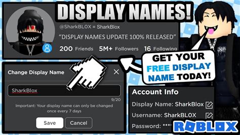 THE DISPLAY NAME UPDATE IS HERE 100 RELEASED GET YOUR DISPLAY NAME