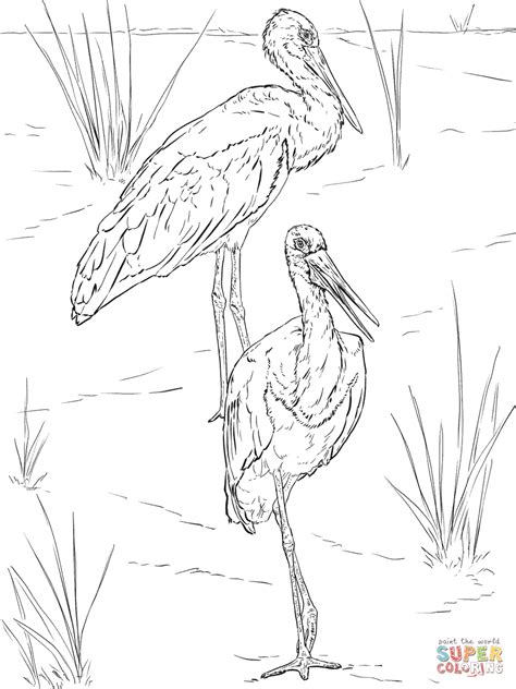 Shoebill stork zenart for antistres page, for adult and children coloring book. Stork Coloring Pages - Kidsuki