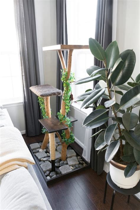 Cat trees offer your cats the opportunity to climb and play, as well as to perch 'above' the human activity occurring in your home. DIY Cat Tree Using a Real Tree // Make a Cat Tree From a ...