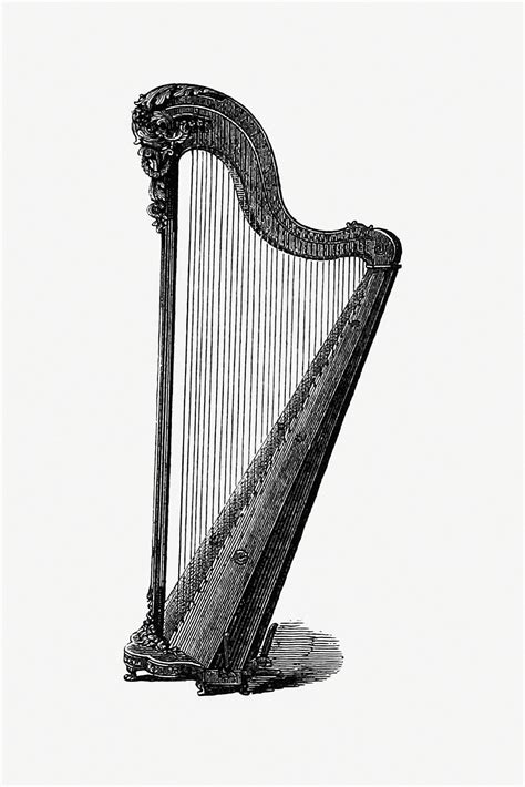 Vintage Harp Illustration