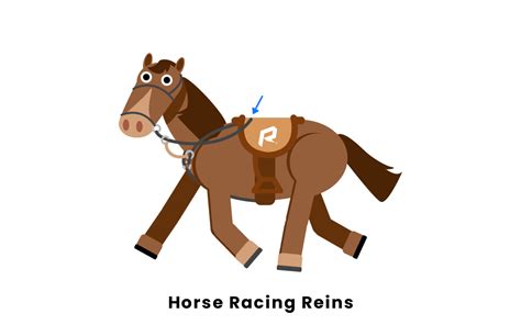 Horse Racing Equipment List