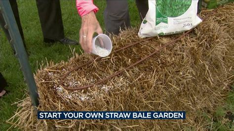Daddy pete representative, melvin york, demonstrates straw bale gardening with pete's cow manure and pete's organic fertilizer. News 3 kicks of year 4 of straw bale gardening - YouTube