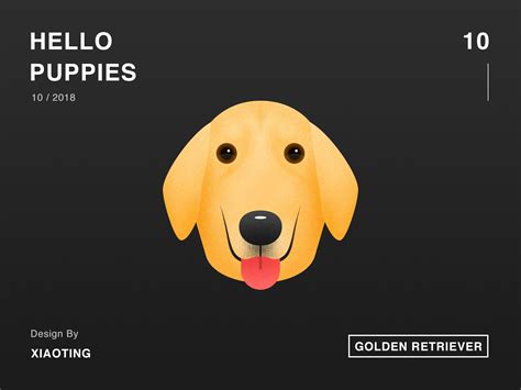 Hello Puppies10 By Xiaoting Pan On Dribbble