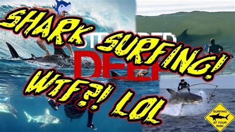Shark Surfing Stranded Deep Shark Surfing Challenge How To Surf The