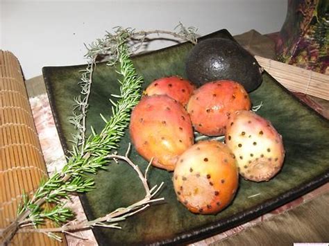 The prickly pear cactus is a plant or shrub, erect or creeping, which can reach 3 to 6m high and occupies large areas. Prickly Pear Cactus Juice…and So Much More! OK, we admit ...
