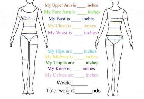 Fillableprintable Weekly Body Measurement Chart To Follow Your