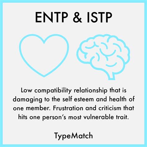 Entp And Istp Relationship Typematch
