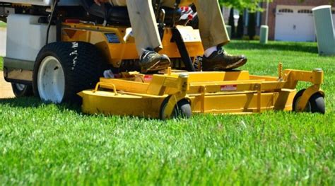 Best Time To Mow Your Lawn Grass Cutting 101