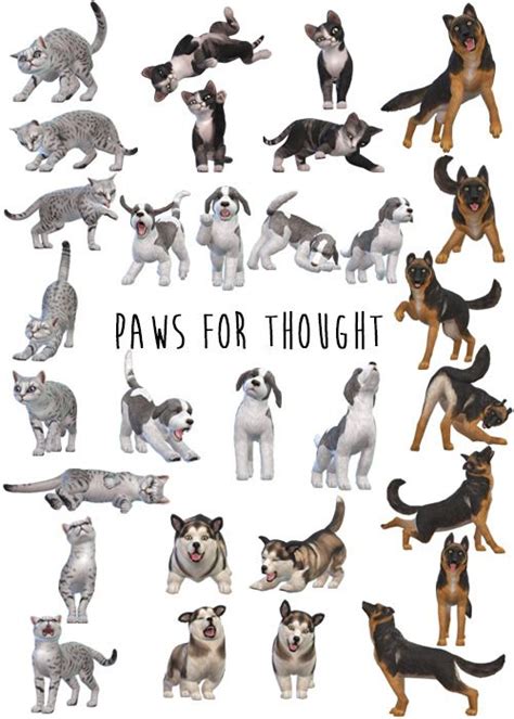 ♥ Paws For Thought ♥ Sims Pets Sims 4 Pets Sims 4 Pets Mod