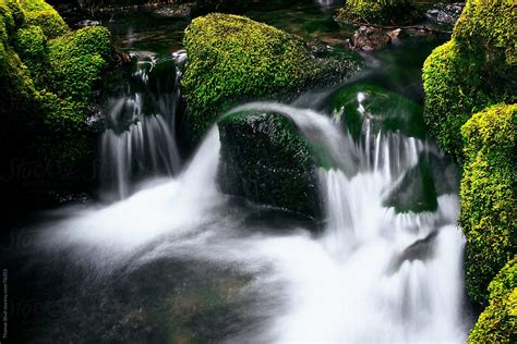 Mossy Rocks With Small Waterfall Stock Image Everypixel