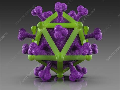 Icosahedral Virus Capsid Illustration Stock Image C0410428